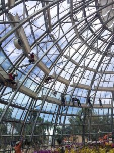 film dán kính mái vòm