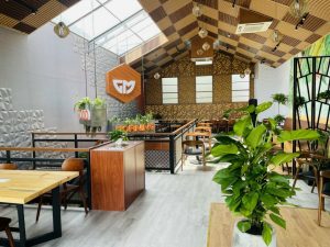 TRỒNG CÂY XANH TRONG NHÀ