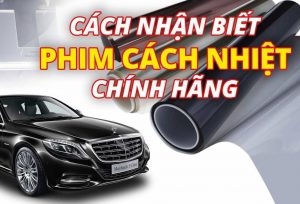MẪU PHIM SAFETY 4 MIL CHÍNH HÃNG