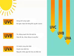 phim ngăn cản các tia UV