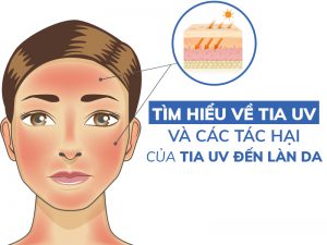 giấy decal ngăn cản tia uv